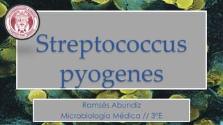 Streptococcus 
pyogenes 
Ramsés Abundiz 
Microbiología Médica // 3°E 
 