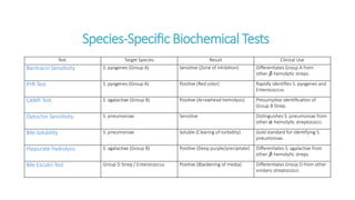 Species-Specific Biochemical Tests
Test Target Species Result Clinical Use
Bacitracin Sensitivity S. pyogenes (Group A) Sensitive (Zone of inhibition) Differentiates Group A from
other -hemolytic streps.
𝛽
PYR Test S. pyogenes (Group A) Positive (Red color) Rapidly identifies S. pyogenes and
Enterococcus.
CAMP Test S. agalactiae (Group B) Positive (Arrowhead hemolysis) Presumptive identification of
Group B Strep.
Optochin Sensitivity S. pneumoniae Sensitive Distinguishes S. pneumoniae from
other -hemolytic streptococci.
𝛼
Bile Solubility S. pneumoniae Soluble (Clearing of turbidity) Gold standard for identifying S.
pneumoniae.
Hippurate Hydrolysis S. agalactiae (Group B) Positive (Deep purple/precipitate) Differentiates S. agalactiae from
other -hemolytic streps.
𝛽
Bile Esculin Test Group D Strep / Enterococcus Positive (Blackening of media) Differentiates Group D from other
viridans streptococci.
 