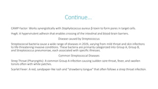 Continue…
CAMP Factor: Works synergistically with Staphylococcus aureus β-toxin to form pores in target cells.
HvgA: A hypervirulent adhesin that enables crossing of the intestinal and blood-brain barriers.
Disease caused by Streptococcus
Streptococcal bacteria cause a wide range of diseases in 2026, varying from mild throat and skin infections
to life-threatening invasive conditions. These bacteria are primarily categorized into Group A, Group B,
and Streptococcus pneumoniae, each associated with specific illnesses.
Common Streptococcal Diseases
Strep Throat (Pharyngitis): A common Group A infection causing sudden sore throat, fever, and swollen
tonsils often with white patches.
Scarlet Fever: A red, sandpaper-like rash and "strawberry tongue" that often follows a strep throat infection.
 