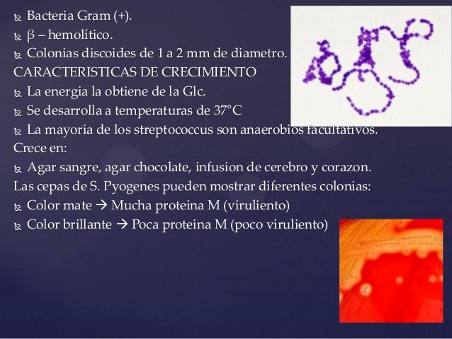 Streptococcus pyogenes