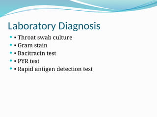 Strep. Pyogenes Slide Streptococcus_pyogenes_15_Slides_Detailed.pptx
