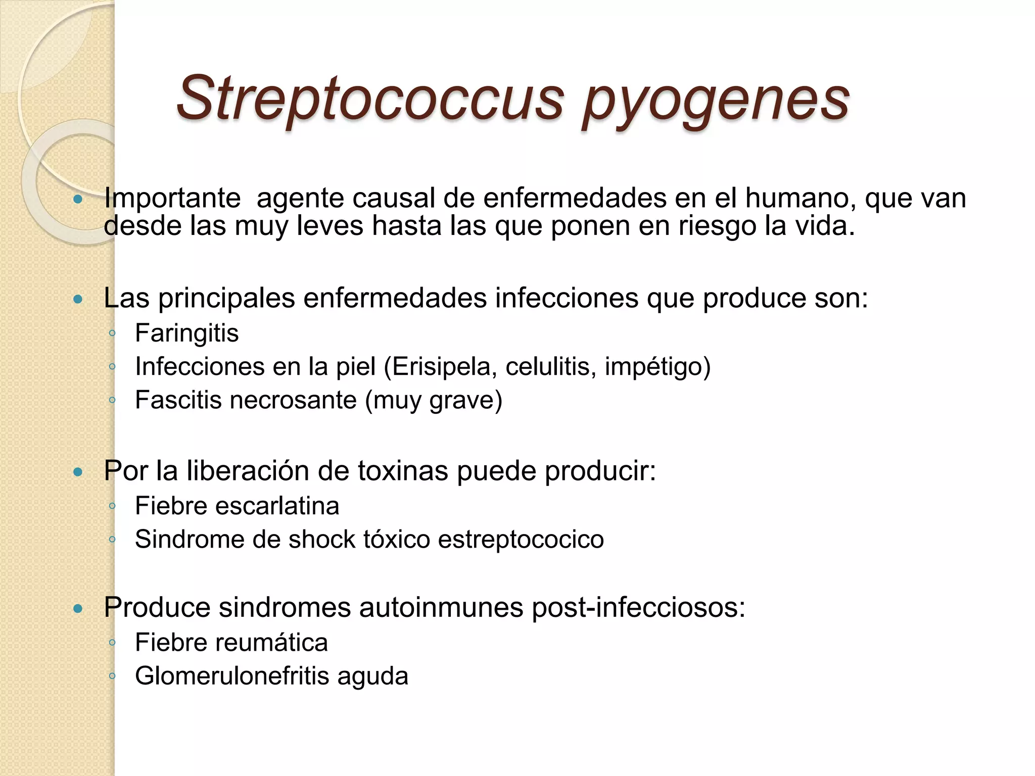 Strep. Pyogenes Slide Streptococcus (pyogenes, neumo, agalact y entero) | PPTX