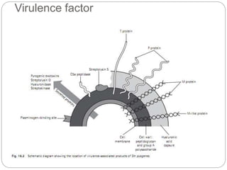 Virulence factor
 
