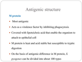 Antigenic structure
M protein
 Most antigenic
 Acts as a virulence factor by inhibiting phagocytosis
 Covered with lipoteichoic acid that enable the organism to
attach to epithelial cell
 M protein is heat and acid stable but susceptible to tryptic
digestion
 On the basis of antigenic difference in M protein, S.
pyogenes can be divided into about 100 types
 