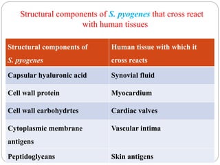 Structural components of S. pyogenes that cross react
with human tissues
Structural components of
S. pyogenes
Human tissue with which it
cross reacts
Capsular hyaluronic acid Synovial fluid
Cell wall protein Myocardium
Cell wall carbohydrtes Cardiac valves
Cytoplasmic membrane
antigens
Vascular intima
Peptidoglycans Skin antigens
 
