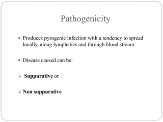 Pathogenicity
 Produces pyrogenic infection with a tendency to spread
locally, along lymphatics and through blood stream
 Disease caused can be:
 Suppurative or
 Non suppurative
 