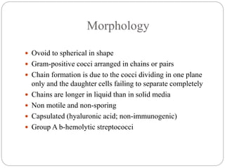 Morphology
 Ovoid to spherical in shape
 Gram-positive cocci arranged in chains or pairs
 Chain formation is due to the cocci dividing in one plane
only and the daughter cells failing to separate completely
 Chains are longer in liquid than in solid media
 Non motile and non-sporing
 Capsulated (hyaluronic acid; non-immunogenic)
 Group A b-hemolytic streptococci
 