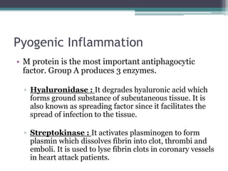 Streptococcus Species.pptx