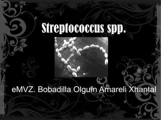 Streptococcus spp. eMVZ. Bobadilla Olguín Amareli Xhantal  