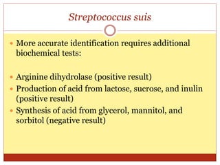 Streptococcus suis Meningitis.pptx