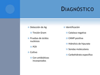 D IAGNÓSTICO


Detección de Ag



Identificación

Tinción Gram



Catalasa negativa

Pruebas de ácidos
nucleicos



CAMP positiva



Hidrolisis de hipurato



Sondas moleculares



Carbohidrato especifico







PCR

Cultivo


Con antibióticos
incorporados

 
