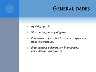 G ENERALIDADES


Ag del grupo: D



38 especies; pocas patógenas.



Enteroeoeeus faecalis y Enteroeoeeus faeeium
(más importantes).



Enteroeoeeus gallinarum y Enteroeoeeus
casseliflavus (vancomicina).

 