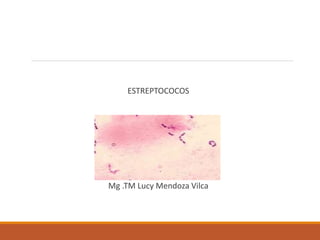 ESTREPTOCOCOS
Mg .TM Lucy Mendoza Vilca
 