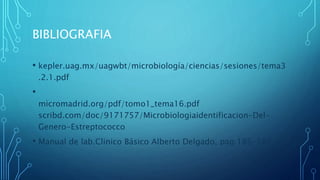 BIBLIOGRAFIA
• kepler.uag.mx/uagwbt/microbiología/ciencias/sesiones/tema3
.2.1.pdf
•
micromadrid.org/pdf/tomo1_tema16.pdf
scribd.com/doc/9171757/Microbiologiaidentificacion-Del-
Genero-Estreptococco
• Manual de lab.Clinico Básico Alberto Delgado, pag.185-189
 