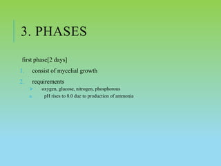 3. PHASES
first phase[2 days]
1. consist of mycelial growth
2. requirements
 oxygen, glucose, nitrogen, phosphorous
a. pH rises to 8.0 due to production of ammonia
 