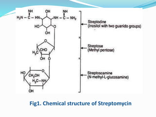 Fig1. Chemical structure of Streptomycin
 
