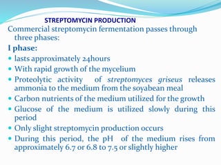 Commercial streptomycin fermentation passes through
three phases:
I phase:
 lasts approximately 24hours
 With rapid growth of the mycelium
 Proteolytic activity of streptomyces griseus releases
ammonia to the medium from the soyabean meal
 Carbon nutrients of the medium utilized for the growth
 Glucose of the medium is utilized slowly during this
period
 Only slight streptomycin production occurs
 During this period, the pH of the medium rises from
approximately 6.7 or 6.8 to 7.5 or slightly higher
STREPTOMYCIN PRODUCTION
 