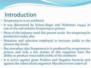 Introduction
• Streptomycin is an antibiotic
• It was discovered by Schatz,Bugie and Waksman (1944) in
one of the soil isolates Streptomyces griseus
• Most of the industry used this parent strain for streptomycin
production today also.
• Mutation and selection employed to increase yields to the
present day levels.
• But,nowadays also Streptomycin is produced by streptomyces
griseus and only a few strains of this organism have the
ability to produce reasonable yields of the antibiotic
• It is active against gram Positive and Negative bacteria and
against the tuberculosis organism Mycobacterium tuberculi
 