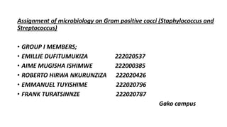 Assignment of microbiology on Gram positive cocci (Staphylococcus and
Streptococcus)
• GROUP I MEMBERS;
• EMILLIE DUFITUMUKIZA 222020537
• AIME MUGISHA ISHIMWE 222000385
• ROBERTO HIRWA NKURUNZIZA 222020426
• EMMANUEL TUYISHIME 222020796
• FRANK TURATSINNZE 222020787
Gako campus
 