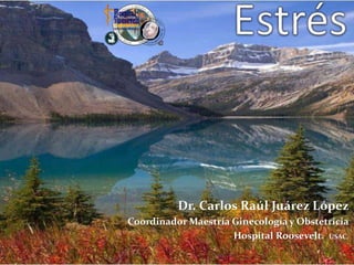 Dr. Carlos Raúl Juárez López
Coordinador Maestría Ginecología y Obstetricia
Hospital Roosevelt. USAC.