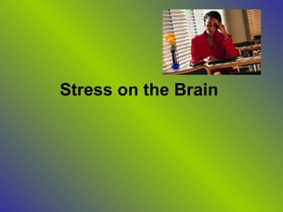 Stress on the Brain
 