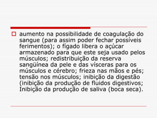 aumento na possibilidade de coagulação do
  sangue (para assim poder fechar possíveis
  ferimentos); o fígado libera o açúcar
  armazenado para que este seja usado pelos
  músculos; redistribuição da reserva
  sangüínea da pele e das vísceras para os
  músculos e cérebro; frieza nas mãos e pés;
  tensão nos músculos; inibição da digestão
  (inibição da produção de fluidos digestivos;
  Inibição da produção de saliva (boca seca).
 