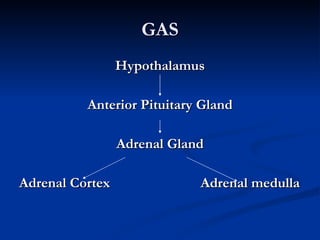 GAS Hypothalamus Anterior Pituitary Gland Adrenal Gland Adrenal Cortex   Adrenal medulla 