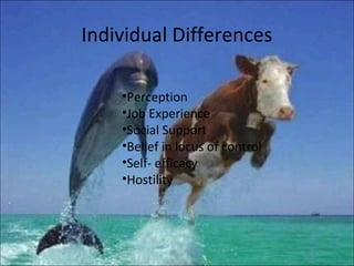 Individual Differences

    •Perception
    •Job Experience
    •Social Support
    •Belief in locus of control
    •Self- efficacy
    •Hostility
 