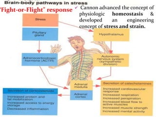 “Fight-or-Flight" response  Cannon advanced the concept of
physiologic homeostasis &
developed an engineering
concept of stress and strain.
 