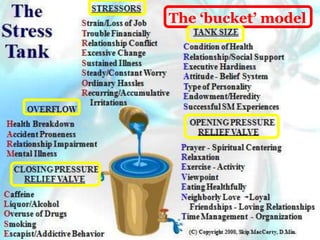 The ‘bucket’ model
 