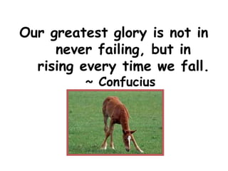 Our greatest glory is not in
never failing, but in
rising every time we fall.
~ Confucius
 