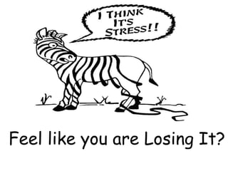 Feel like you are Losing It?
 