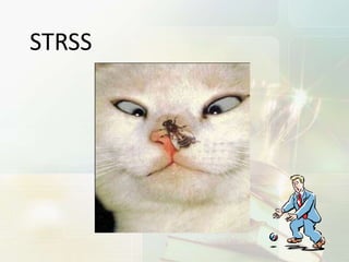 STRSS
 