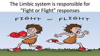 Understand Your Brain
Mohammad Tawfik
#WikiCourses
http://WikiClourses.WikiSpaces.com
The Limbic system is responsible for
“Fight or Flight” responses
 