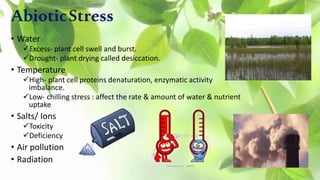 plant biotic and abiotic stress | PPTX