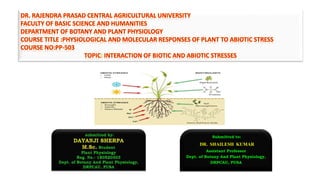 Submitted to:
DR. SHAILESH KUMAR
Assistant Professor
Dept. of Botany And Plant Physiology,
DRPCAU, PUSA
 