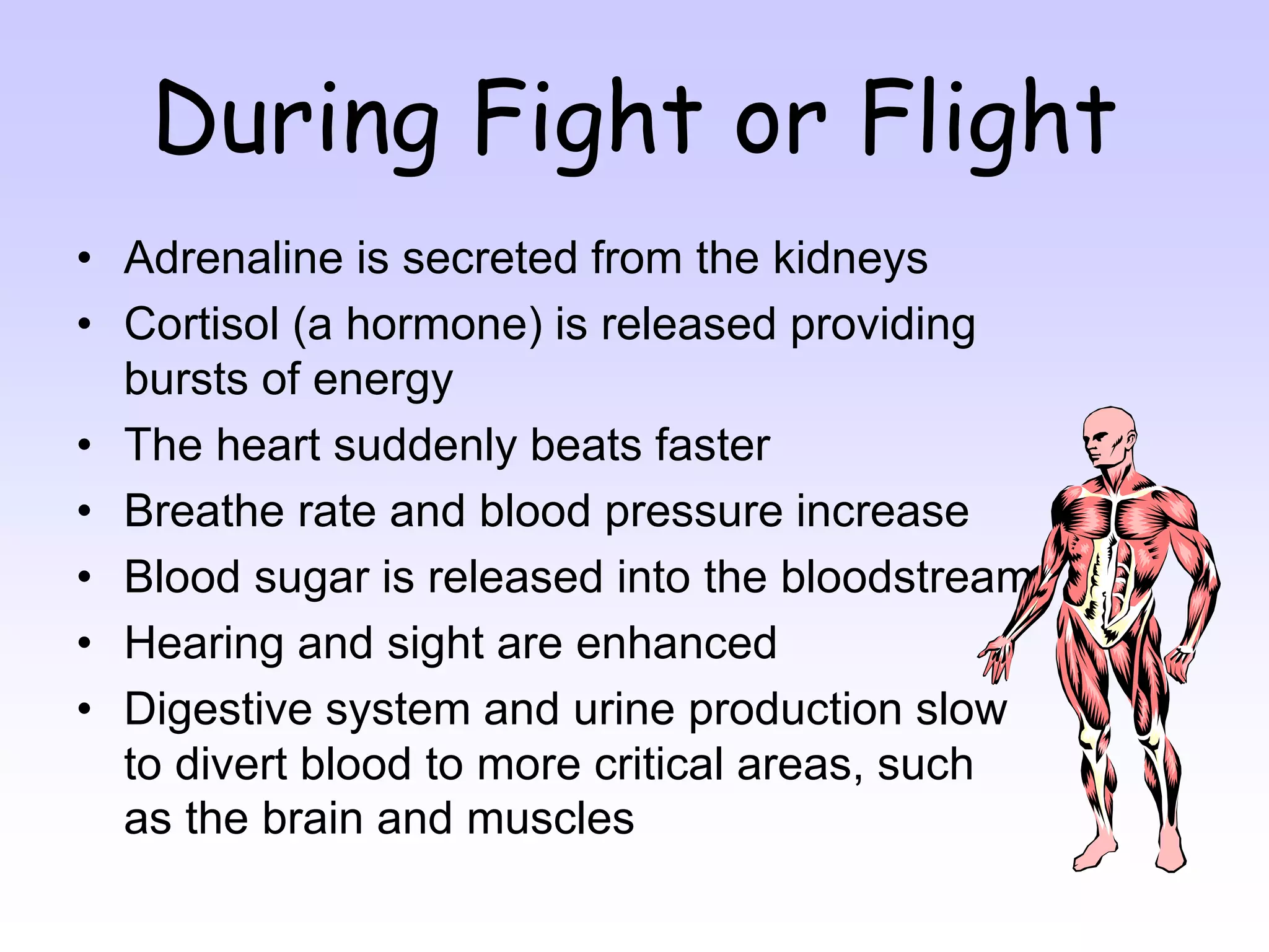During Fight or Flight
• Adrenaline is secreted from the kidneys
• Cortisol (a hormone) is released providing
bursts of energy
• The heart suddenly beats faster
• Breathe rate and blood pressure increase
• Blood sugar is released into the bloodstream
• Hearing and sight are enhanced
• Digestive system and urine production slow
to divert blood to more critical areas, such
as the brain and muscles
 