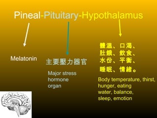 Pineal-Pituitary-Hypothalamus
Melatonin
體溫、口渴、
肚餓、飲食、
水份、平衡、
睡眠、情緒。
主要壓力器官
Major stress
hormone
organ
Body temperature, thirst,
hunger, eating
water, balance,
sleep, emotion
 