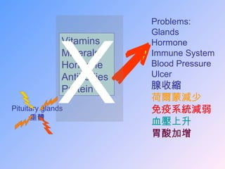 Vitamins
Minerals
Hormone
Antibodies
Protein
Problems:
Glands
Hormone
Immune System
Blood Pressure
Ulcer
腺收縮
荷爾蒙減少
免疫系統減弱
血壓上升
胃酸加增
Pituitary glands
垂體
X
 