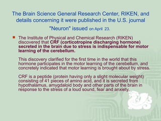 The Brain Science General Research Center, RIKEN, and
details concerning it were published in the U.S. journal
"Neuron" issued on April 23.
 The Institute of Physical and Chemical Research (RIKEN)
discovered that CRF (corticotropine discharging hormone)
secreted in the brain due to stress is indispensable for motor
learning of the cerebellum.
This discovery clarified for the first time in the world that this
hormone participates in the motor learning of the cerebellum, and
concretely indicated that motor learning is brought about by stress.
CRF is a peptide (protein having only a slight molecular weight)
consisting of 41 pieces of amino acid, and it is secreted from
hypothalamus, amygdaloid body and other parts of the brain in
response to the stress of a loud sound, fear and anxiety.
 