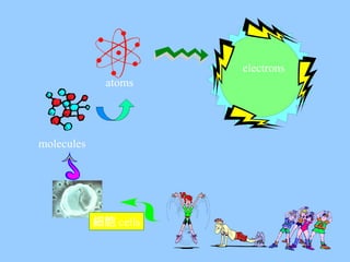 細胞 cells
molecules
atoms
electrons
 