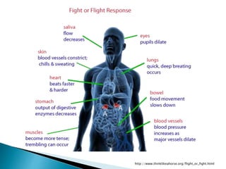 http://www.thinklikeahorse.org/flight_or_fight.html
 