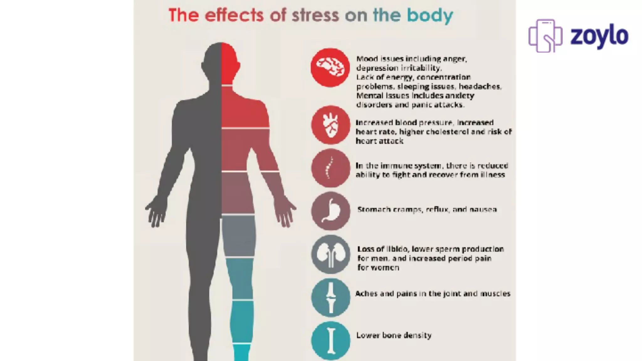 How does stress affect your heart? | PDF