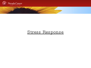 Stress Response 