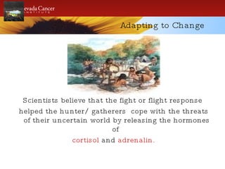 Adapting to Change Scientists believe that the fight or flight response helped the hunter/ gatherers  cope with the threats of their uncertain world by releasing the hormones of  cortisol  and  adrenalin. 