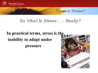 What is Stress? So What Is Stress….. Really? In practical terms, stress is the inability to adapt under  pressure 