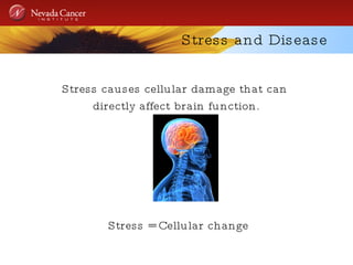 Stress and Disease Stress causes cellular damage that can  directly affect brain function. Stress = Cellular change 