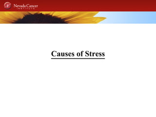 Causes of Stress 