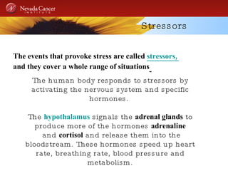 Stressors The events that provoke stress are called  stressors,  and they cover a whole range of situations   The human body responds to stressors by activating the nervous system and specific hormones.  The  hypothalamus  signals the  adrenal glands  to produce more of the hormones  adrenaline and  cortisol   and release them into the bloodstream. These hormones speed up heart rate, breathing rate, blood pressure and metabolism. 