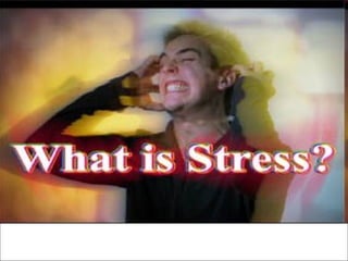 05/25/13 3
WHAT IS STRESS?
 